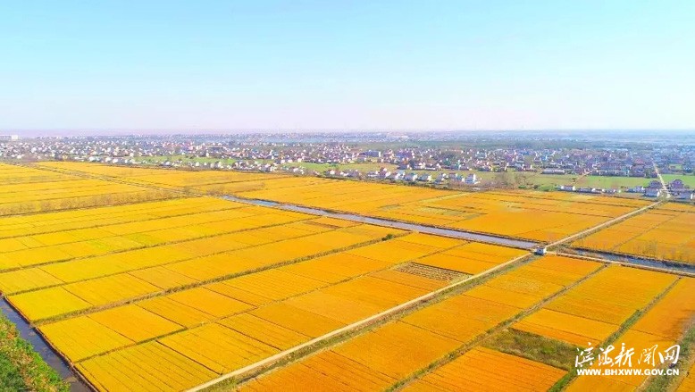 金秋季节美如画