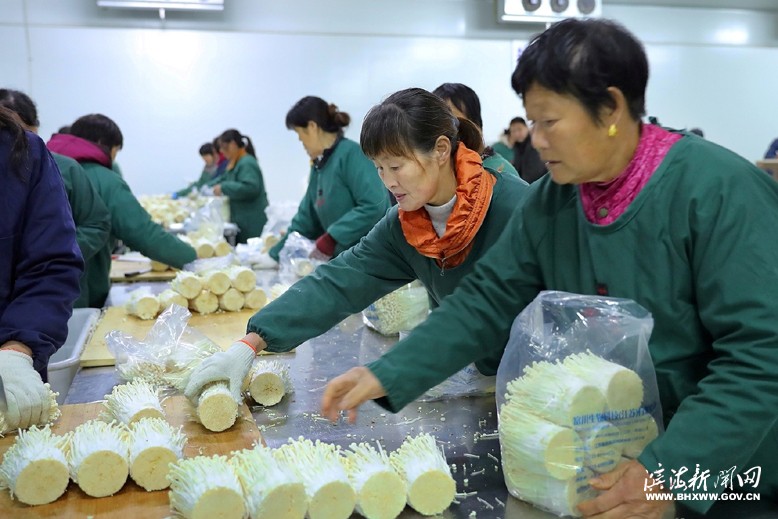 富川生物科技公司