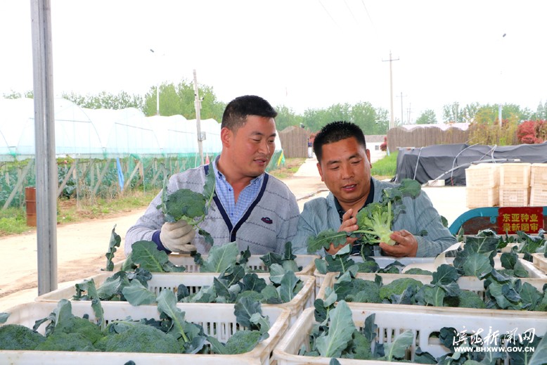 竹林水果采摘家庭农场