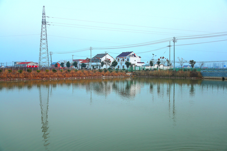 东坎街道沙浦村河道整洁