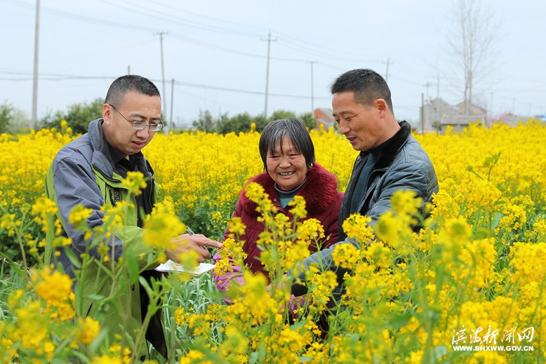 天场镇帮扶人员到海峰村低收入农户家中察看油菜籽长势情况