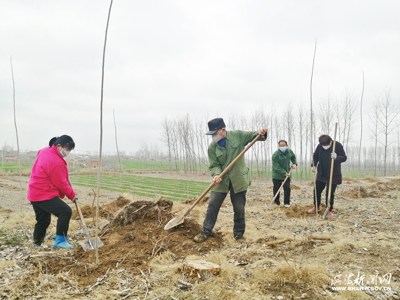 各镇（区、街道）掀起植树绿化热潮