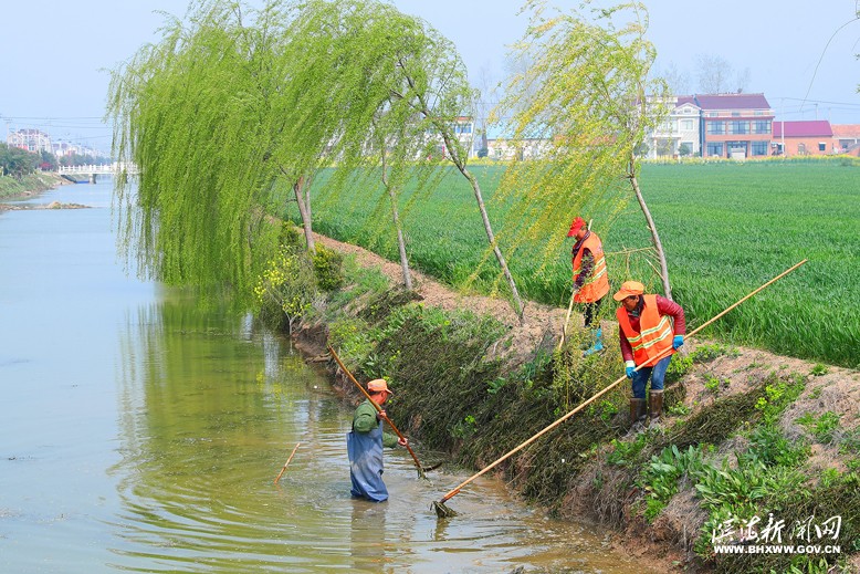 八巨镇前案村保洁人员清理河道水草杂物