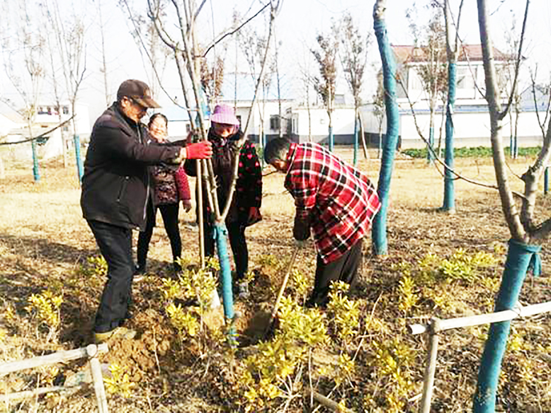 陈涛镇村民S328沿线植树