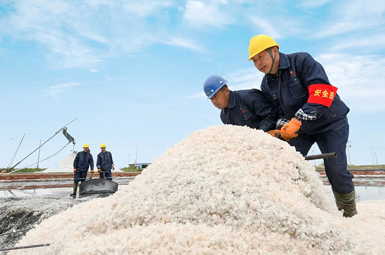 新滩盐场进入春季扒盐季