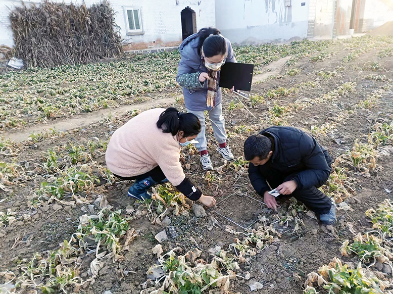 县植保站开展春季农田杂草调查